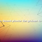 Question : Quand planter des graines de grenade
